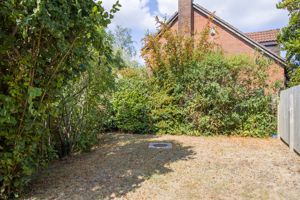 Photo 45- click for photo gallery